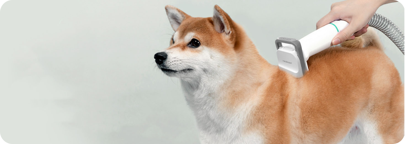 Pet Supplies