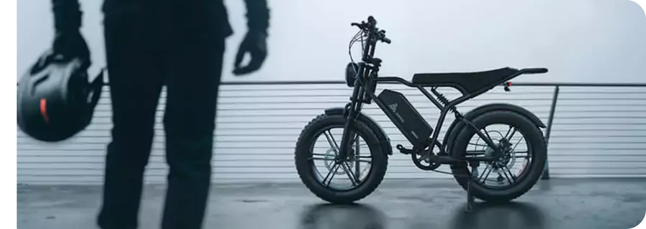 Electric Bike