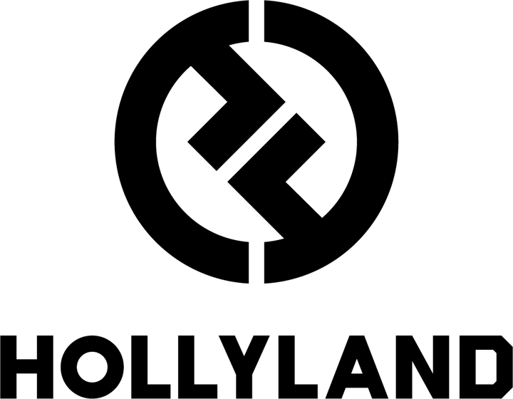 Hollyland-IT logo