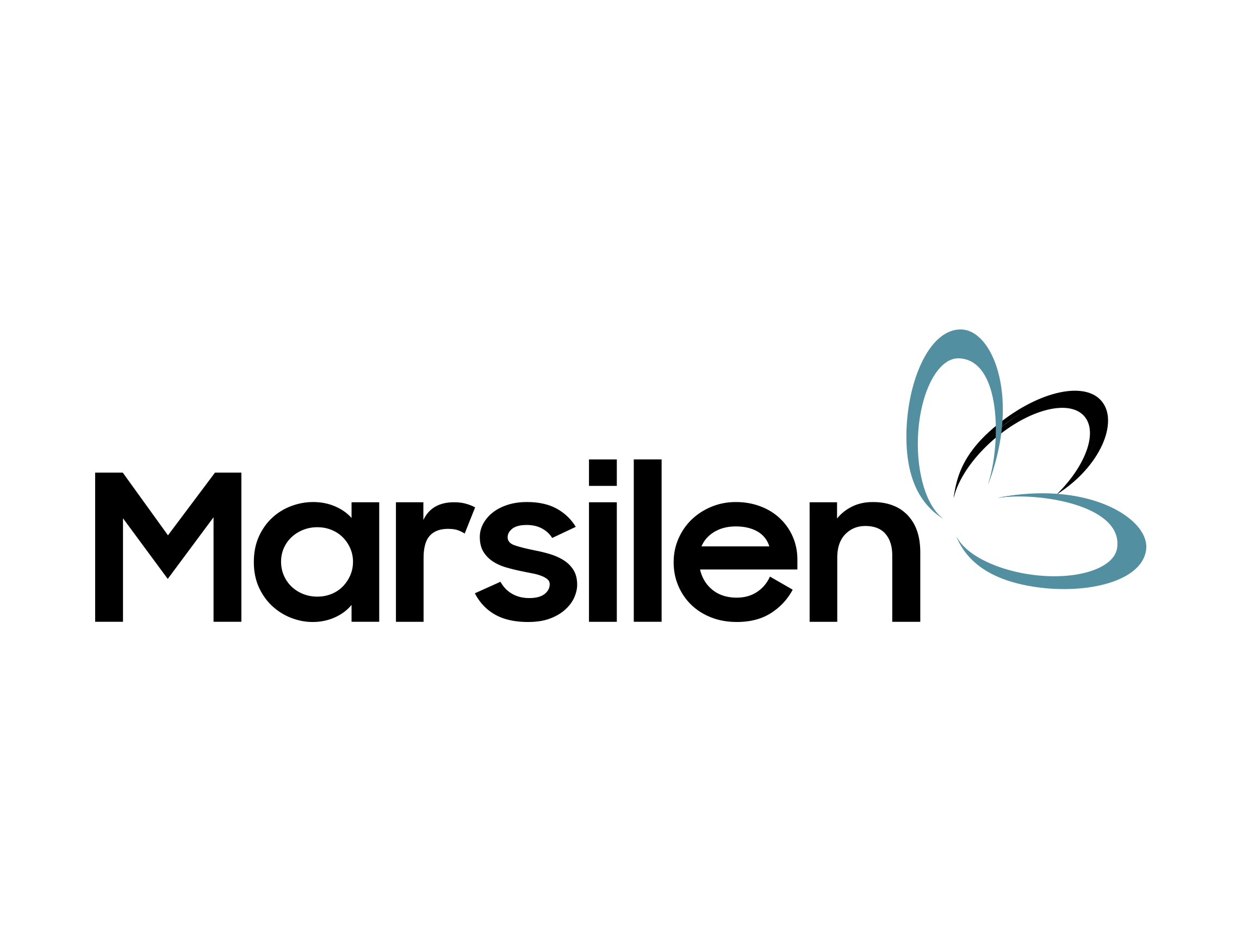 Marsilen logo